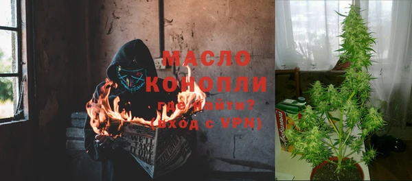 мдпв Осинники
