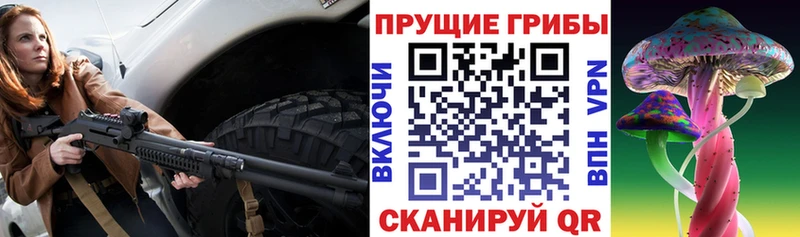 Галлюциногенные грибы Psilocybine cubensis  Боготол 